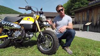 2019 Honda Monkey Review  First Look [upl. by Gardol436]