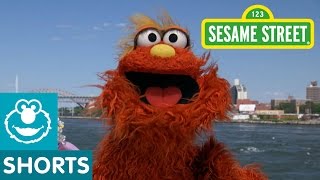 Sesame Street Mind Games With Murray [upl. by Catriona]