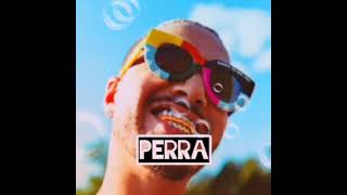 J Balvin  Tokisha Perra Audio [upl. by Derick415]