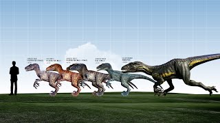 Jurassic Park Raptors Size Comparison [upl. by Idel]