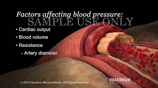 Understanding Basic Blood Pressure Control  Nucleus Health [upl. by Ramyaj]