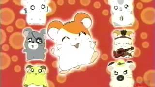 Hamtaro  Cartoon Network  Bumper  2003 [upl. by Ahseet]