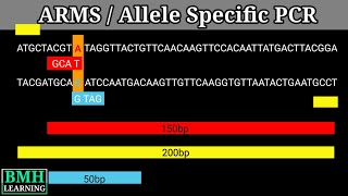 Allele Specific PCR  ARMS PCR [upl. by Glyn]