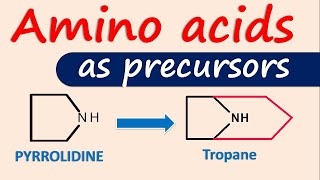 Amino acids as precursors for alkaloids [upl. by Bunnie]