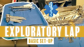 LAPAROSCOPIC RADICAL NEPHRECTOMY PROCEDURE OVERVIEW [upl. by Peltier541]