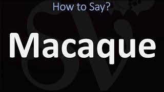 How to Pronounce Macaque CORRECTLY [upl. by Lenrad]