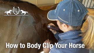 How to Body Clip Your Horse [upl. by Dareg]