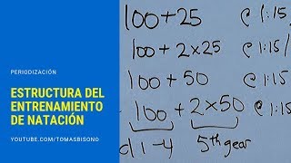 NATACIÓN Estructura del entrenamiento [upl. by Baryram]