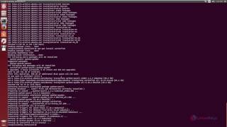 How to install Cuttle fish in Ubuntu [upl. by Ethbinium]