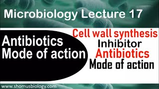 Cell wall synthesis inhibitors mechanism of action [upl. by Benton945]