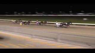 Mildura Harness Racing Club 30 Sep 2024 Trial 4 [upl. by Jangro397]