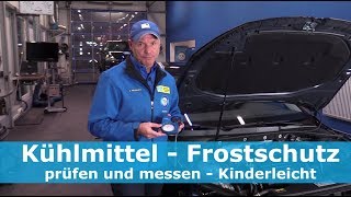 Kühlmittel  Frostschutz prüfen und messen  Kinderleicht [upl. by Zehe]