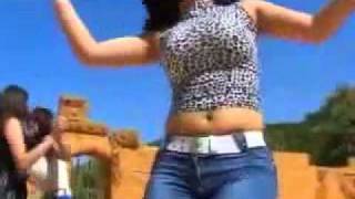 Raqsi arab Arabic Dance Plan B 2010 shazi raqs رقص جديد [upl. by Utter202]