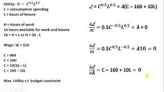 Lagrangian LaborLeisure Choice Model [upl. by Nolrak]