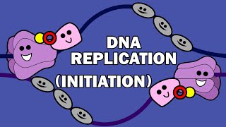 DNA REPLICATION 13  INITIATION [upl. by Alliuqet]