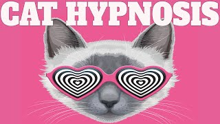 Sound To Calm Cats Within Minutes  Cat Hypnosis [upl. by Sile]