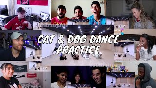 TXT Cat amp Dog Dance practice  Reaction Mashup [upl. by Marra100]