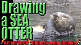 Drawing Sea otters [upl. by Gault]