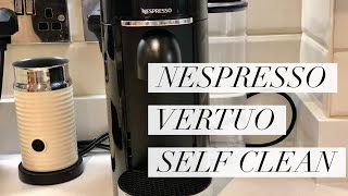 How To Clean Your Nespresso Vertuo [upl. by Uol]