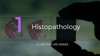 Histopathology [upl. by Madge]