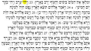 Torah Reading  Genesis Chapter 1 [upl. by Euqnimod]