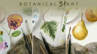 Watercolour techniques used for botanical art [upl. by Ketti]