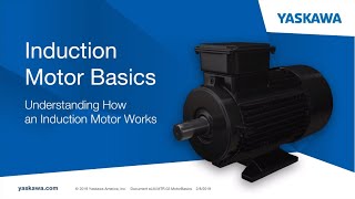 Motor Basics [upl. by Kathrine]