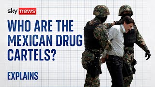 Who are the Mexican drug cartels [upl. by Atsilac]