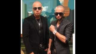 Wisin y Yandel Viejitas Mix [upl. by Eiramyllek916]