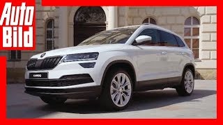 Skoda Karoq 2018 ReviewDetailsErklärung [upl. by Kosak307]