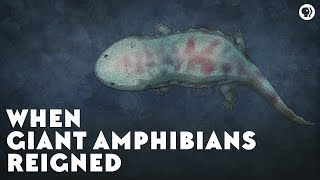 When Giant Amphibians Reigned [upl. by Finbar]