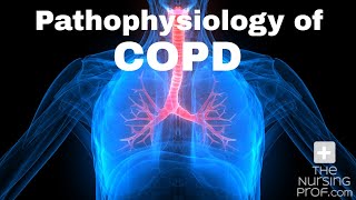 Pathophysiology of COPD [upl. by Adnuahsor]