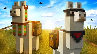 Everything You Need To Know About LLAMAS In Minecraft [upl. by Trevorr]