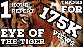 Eye of the Tiger 1 Hour Repeat [upl. by Sahcnip]