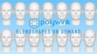 Blendshapes on Demand  Polywink [upl. by Uuge]