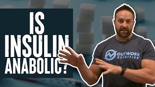 Is Insulin Anabolic  Educational Video  Biolayne [upl. by Sabino]