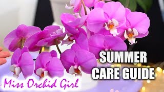 Phalaenopsis Orchids Summer Care  Detailed care guide for Orchid beginners [upl. by Anitirhc]