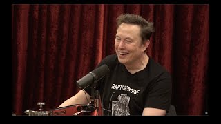 Joe Rogan Experience 2281  Elon Musk [upl. by Saticilef]