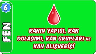 Kanın Yapısı Kan Dolaşımı Kan Grupları ve Kan Alışverişi  6 Sınıf Fen evokul Kampı [upl. by Nitneuq]