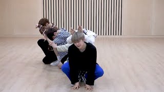 TXT  Cat amp Dog dance practice mirrored [upl. by Raama]