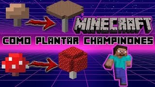 COMO PLANTAR CHAMPIÑONES EN MINECRAFT Tutorial Seta Roja o Marron GiganteEnorme [upl. by Aicetal379]