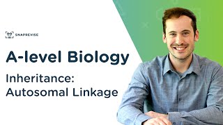 Inheritance Autosomal Linkage  Alevel Biology  OCR AQA Edexcel [upl. by Ecirtaemed]