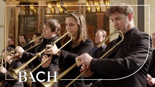 Bach  Sinfonia from Cantata BWV 29  Netherlands Bach Society [upl. by Eelatsyrc]