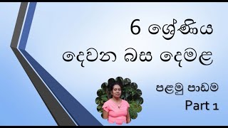 grade 6 tamil lesson part 1 [upl. by Smiga]