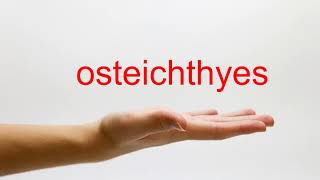 How to Pronounce osteichthyes  American English [upl. by Adnalue]