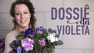 Como CUIDAR de VIOLETAS no vaso para FLORIR [upl. by Liek]