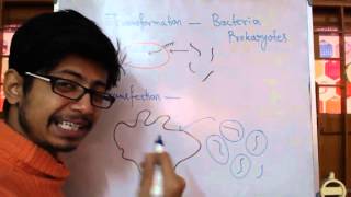 Transformation Vs Transfection [upl. by Cameron]