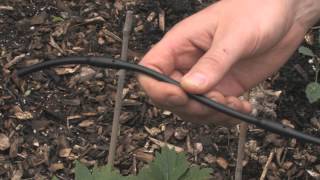 Drip Irrigation Basics [upl. by Kathie]