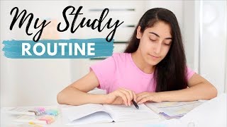 My Study Routine 2019  Study Tips  Tricks For A Productive Study Session [upl. by Haila78]