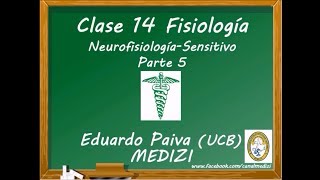 Clase 14 Fisiología  Neurofisiología Sensitivo 5 IGdoctorpaiva [upl. by Wager237]